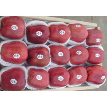 Alta calidad para la exportación de Fresh Huaniu Apple
